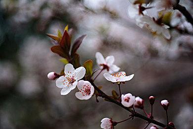 《监狱模拟器》Steam版发售 优惠价63元支持中文